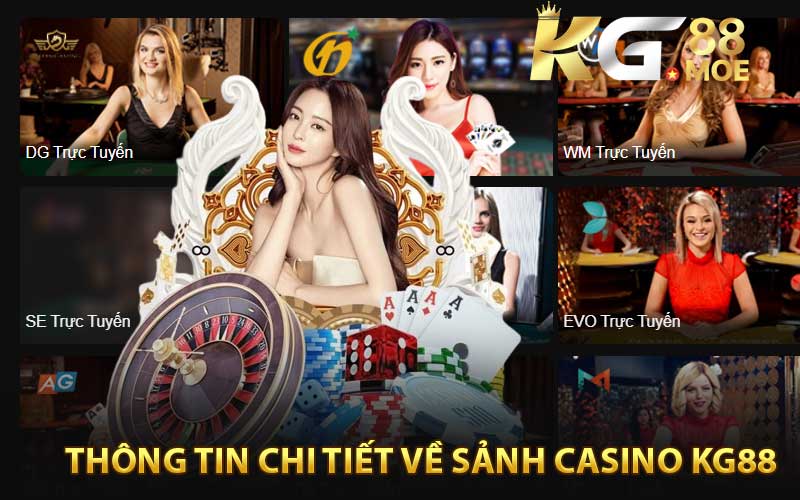 Giới thiệu tổng quan về KG88